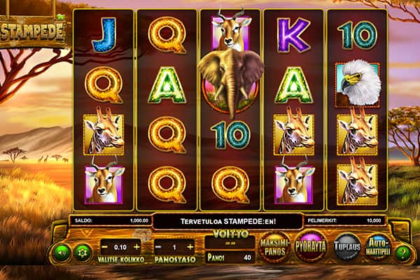 Wild Jackpots